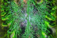 Rickert - Die Adler kommen